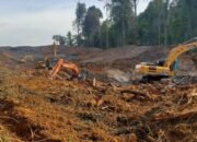 Tiga Tersangka Ditahan, Tapi Otak Tambang Ilegal di Hutan Unmul Masih Berkeliaran