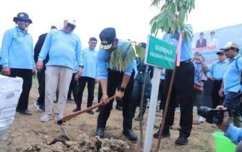 Ribuan Hektare Lahan Kembali Hijau, Pemprov Kaltim Tegaskan Komitmen Lingkungan