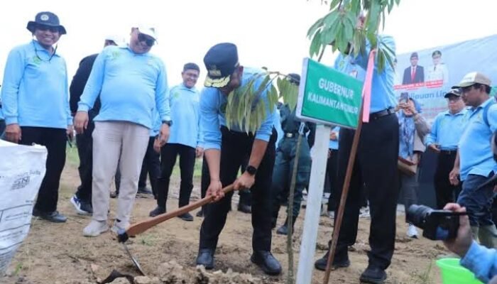 Ribuan Hektare Lahan Kembali Hijau, Pemprov Kaltim Tegaskan Komitmen Lingkungan